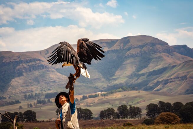 Soaring With Your Strengths: Sometimes Even Eagles Need a Push!